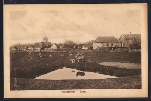 AK Texel, Oosterend