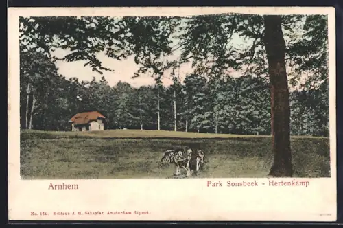 AK Arnhem, Park Sonsbeek, Hertenkamp