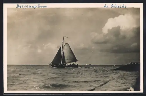 AK Bergen op Zoom, De Schelde