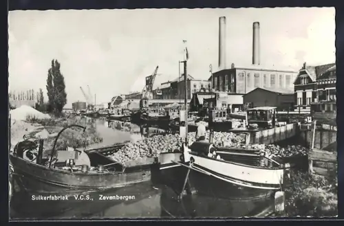 AK Zevenbergen, Suikerbariek V.C.S.
