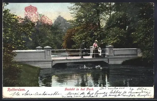 AK Rotterdam, Gezicht in het Park