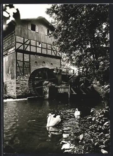 AK Lünzen /Lüneburger Heide, Wassermühle, Mühlrad, Schwäne