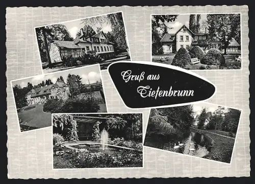 AK Tiefenbrunn / Göttingen, Villen, Park, Flusspartie
