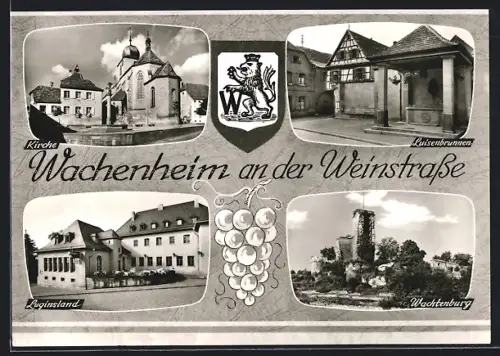AK Wachenheim an der Weinstrasse, Kirche, Luisenbrunnen, Luginsland, Wachtenburg