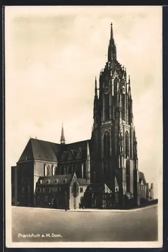 AK Alt-Frankfurt, Dom