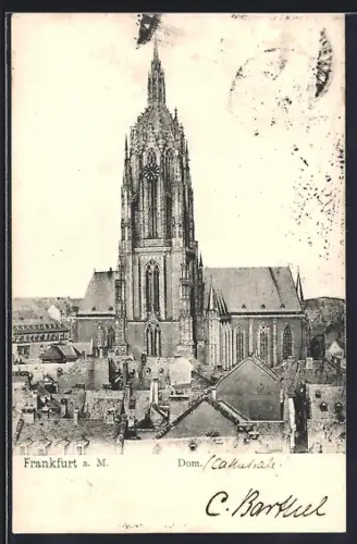 AK Alt-Frankfurt, Dom