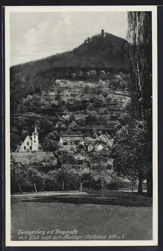 AK Zwingenberg a.d. Bergstrasse, Blick nach dem Malchen