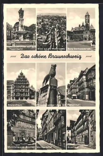 AK Braunschweig, Burg Dankwarderode, Braunschweiger Löwe, Gewandhaus, Flohwinkel