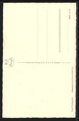 AK Braunschweig, Burg Dankwarderode, Braunschweiger Löwe, Gewandhaus, Flohwinkel