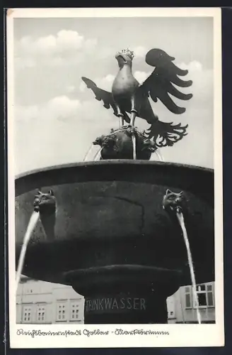 AK Goslar, Marktbrunnen