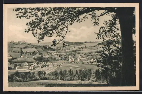 AK Bad Schallerbach, Ortspanorama