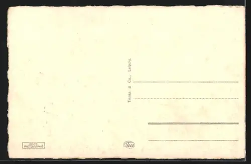 AK Hanau a. Main, Altstädter Rathaus mit Brunnen