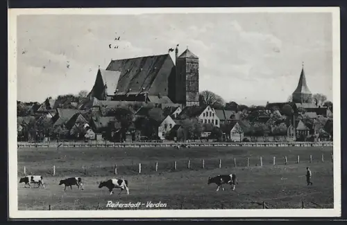 AK Verden, Kühe auf der Weide