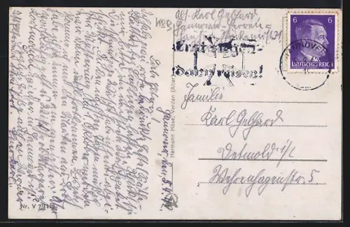 AK Verden, Kühe auf der Weide