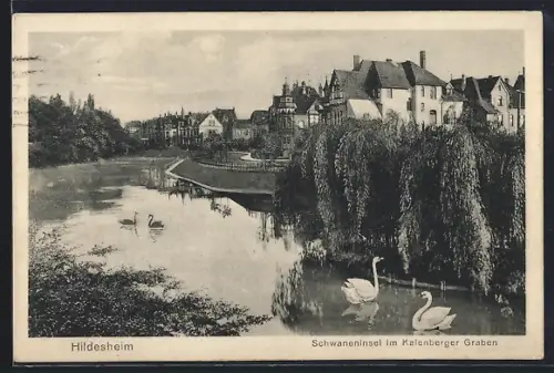 AK Hildesheim, Schwaneninsel im Kalenberger Graben