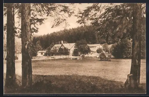 AK Braunlage i. Oberharz, Waldmühle