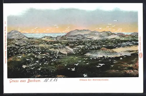AK Borkum, Dünen der Möwenkolonie