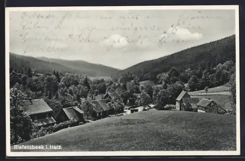 AK Riefensbeek i. Harz, Ortsansicht mit Blick ins Tal