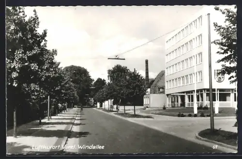 AK Varel / Oldenburg, Partie in der Windallee