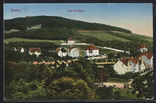 AK Goslar, Häuser am Steinberg