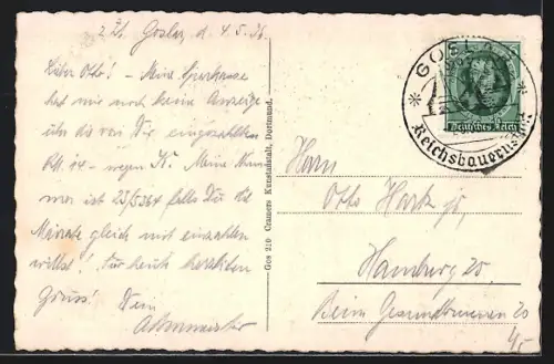 AK Goslar, Blick v. Georgenberg
