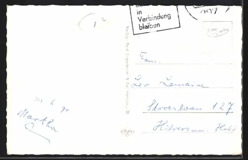 AK Emden, Partie im Stadtpark, Brauersgraben