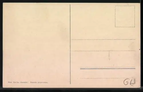 AK Wocheiner Feistritz, Teilansicht mit Triglav