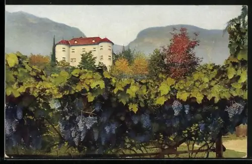 Photochromie-AK Ueberetsch, Blick von einem Weinberg auf Schloss Gandegg