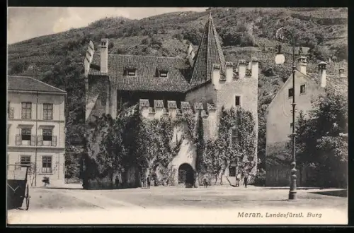 AK Meran, Landesfürstliche Burg
