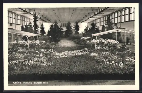 AK Berlin, Grüne Woche 1951, Ausstellungshalle mit Blumenbeet, Innenansicht