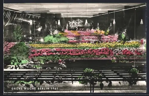 AK Berlin, Grüne Woche 1961, Pflanzenhalle, Ausstellung