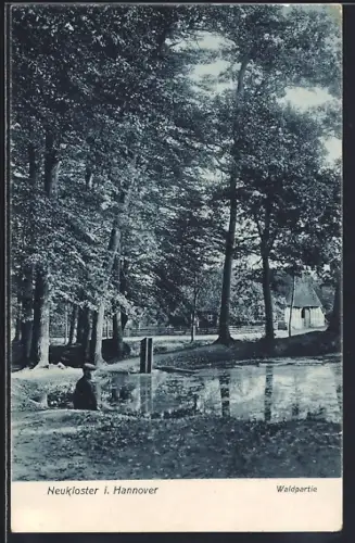 AK Neukloster / Hannover, Waldpartie