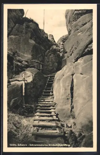 AK Bad Schandau /Sächs. Schweiz, Schrammsteine mit Wildschützensteig