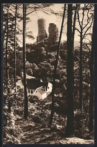 AK Kirkel, Blick durch die Bäume zur Burgruine