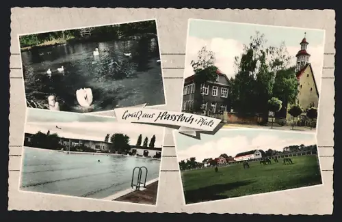 AK Hassloch /Pfalz, Freibad mit Badegästen, Schwanenteich im Park