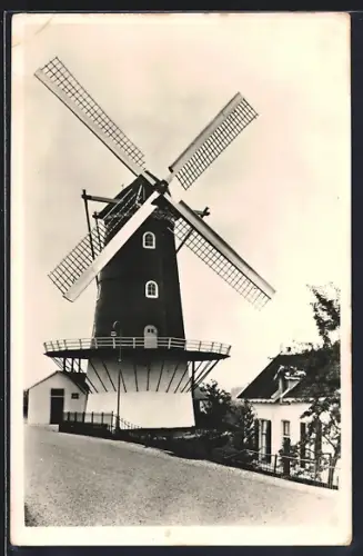 AK Haaften, Molen De blauwe reiger