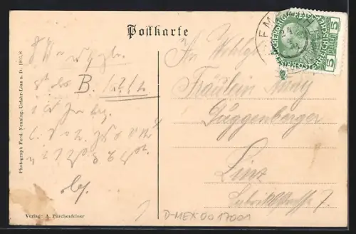 AK Lembach, Panorama, Handlung A. Pürchenfelner