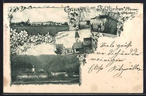 AK Feldkirchen a.d. Donau, Panorama, Esienbad Mühllacken, Schloss Bergheim