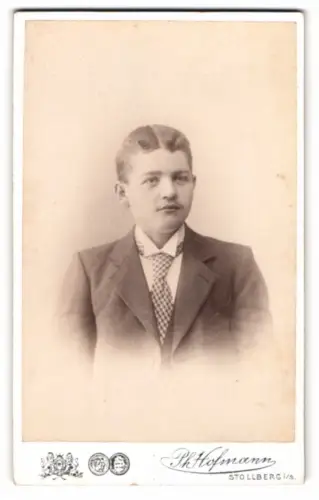 Fotografie Ph. Hofmann, Stollberg i. S., am Bahnhof, Friedrich mit karierter Krawatte