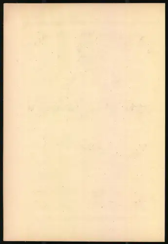 Lichtdruck Aug. Scherl, Portrait Oberst Hoffmann in Uniform mit Orden Pour le Merite, 27 x 18.5cm