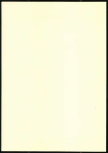 Lichtdruck Kühlewindt, z. Z. Ostfront, Portrait General von Gallwitz in Uniform m. Orden Pour le Merite & Eisernes Kreuz