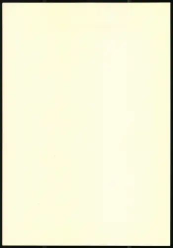 Lichtdruck J. B. Ciolina, Frankfurt / Main, Portrait General von Scholtz in Uniform mit Orden Pour le Merite, 27 x 19cm