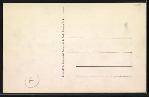 AK Curacao, Native children, Kinder bei der Feldarbeit