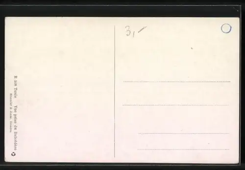 Künstler-AK Tunis, Vue prise du Belvedere