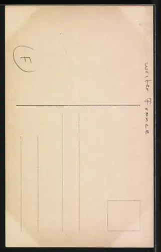 AK Alphonse Daudet, Portrait des Autors