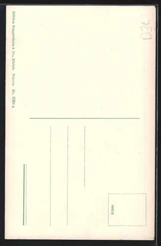 AK Rotterdam, Steiger