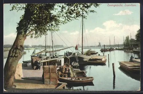 AK Zaandam, Zaangezicht