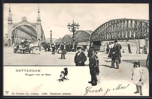 AK Rotterdam, Bruggen over de Maas