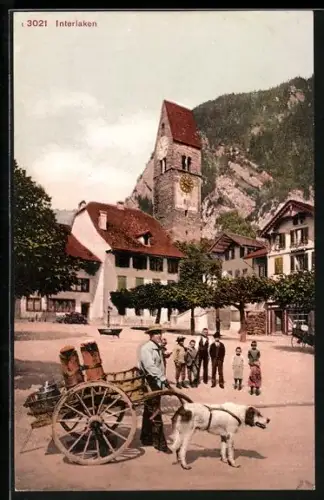 AK Interlaken, Milchtransport per Hundegespann, Platz bei der Kirche