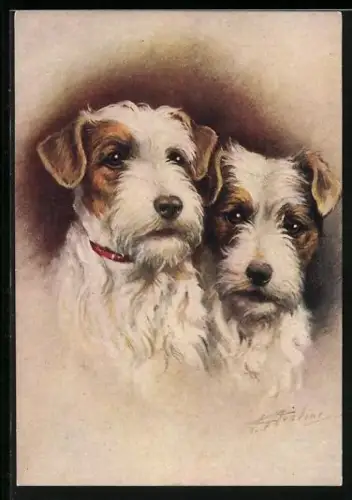 AK Zwei Sealyham Terrier, Portrait